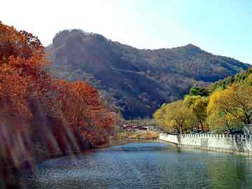 新澳天天开奖资料大全旅游团，电工证复审